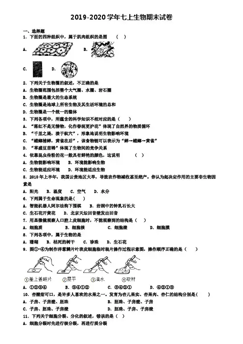 【9份试卷合集】绵阳市名校2019-2020学年生物七上期末联考模拟试题