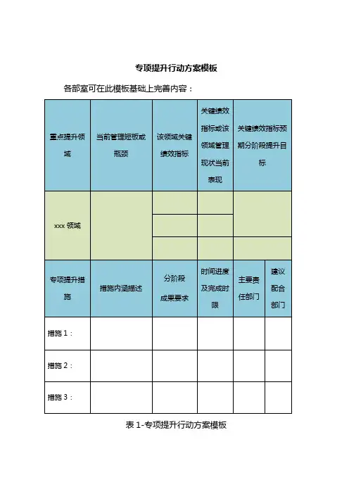 专项提升行动方案模板