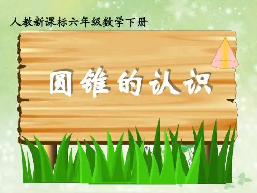 人教版六年级数学下册第二单元圆锥的认识2