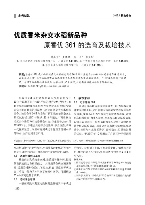 优质香米杂交水稻新品种原香优361的选育及栽培技术