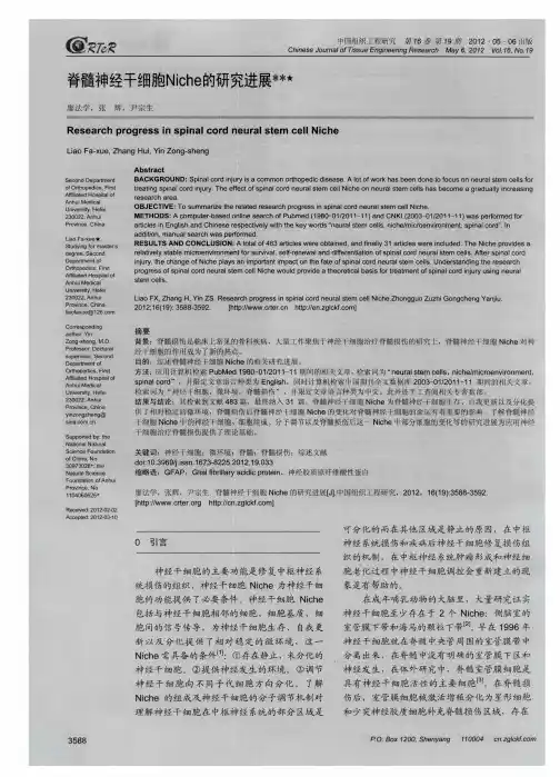 脊髓神经干细胞Niche的研究进展