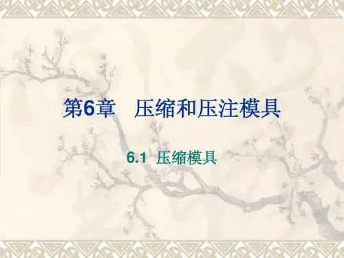 塑料成型工艺与模具设计第6章压缩和压注模具6.1