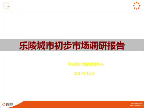 城市初步市场调研报告