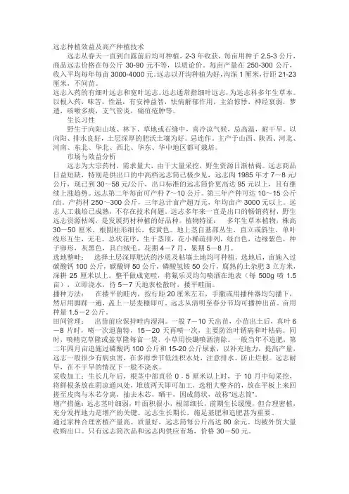 远志种植效益及高产种植技术