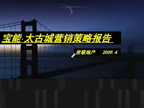 世联宝能太古城营销策略报告
