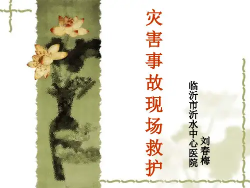 灾害事故现场救护