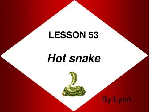 新概念英语第二册Lesson 53