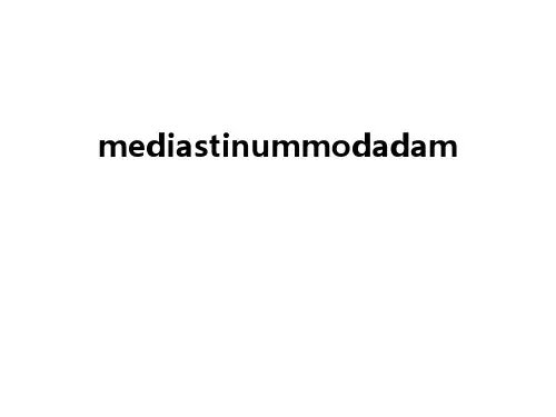 最新mediastinummodadam