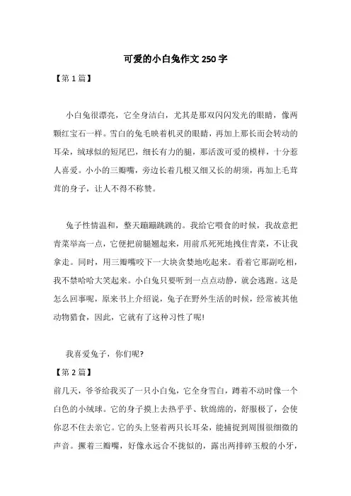 可爱的小白兔作文250字