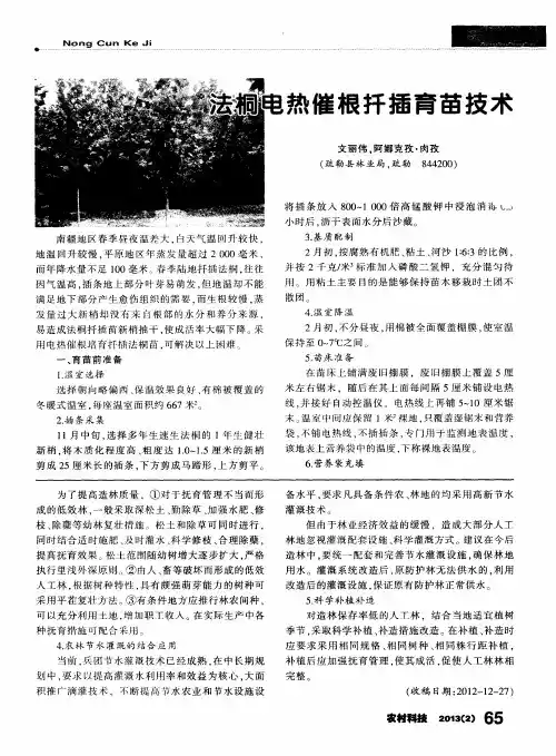 法桐电热催根扦插育苗技术