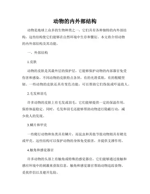 动物的内外部结构