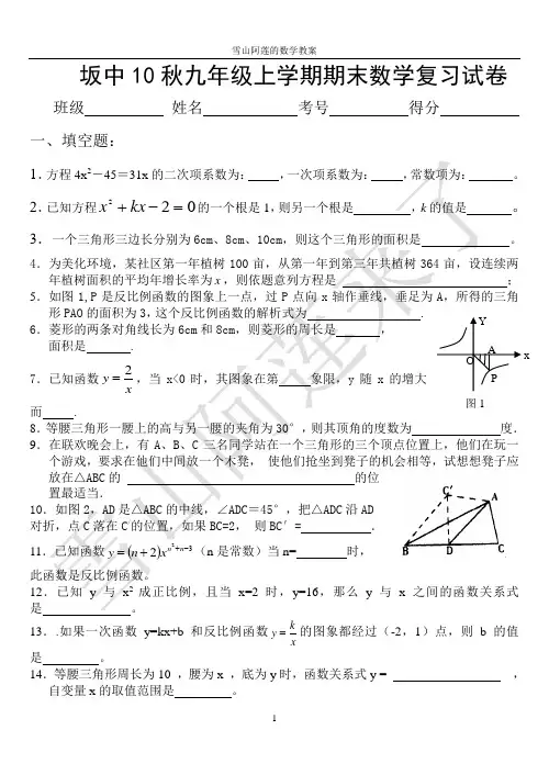 2010秋学期九年级上学期期末数学复习试卷(北师大)