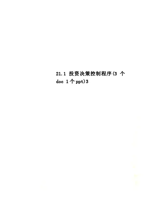 21.1投资决策控制程序(3个doc 1个ppt)(0002)