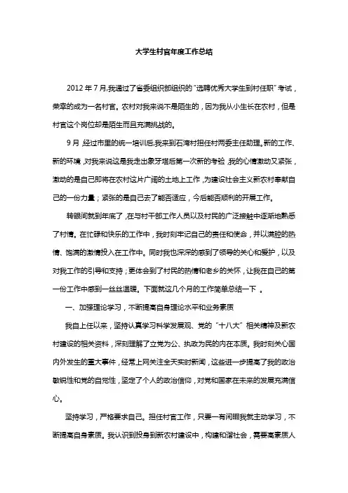 大学生村官年度工作总结黄帅