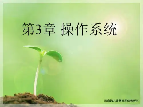 第3章 操作系统