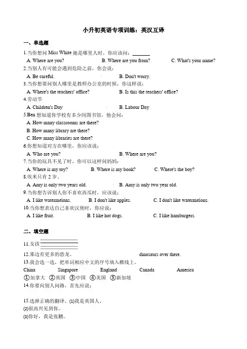 小升初英语复习：英汉互译 专项训练