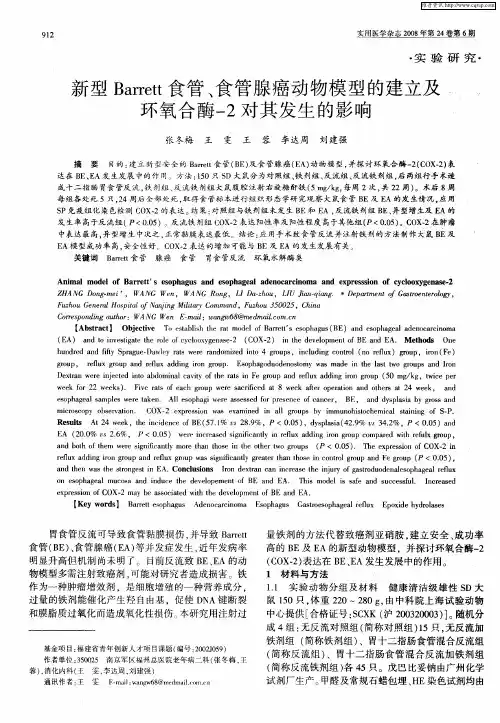 新型Barrett食管、食管腺癌动物模型的建立及环氧合酶-2对其发生的影响