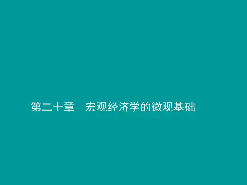 西方经济学(宏观)第二十章