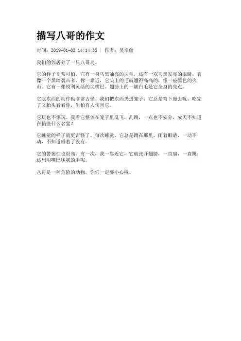 描写八哥的作文