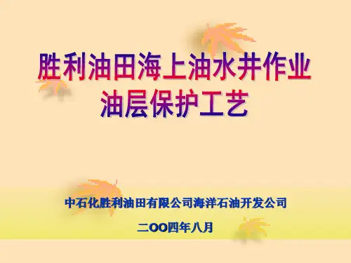 中海油油层保护