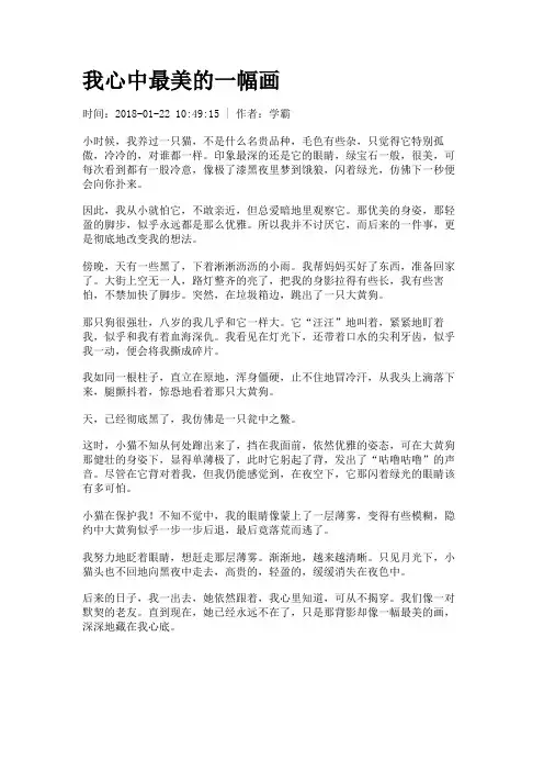我心中最美的一幅画