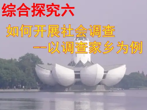 综合探究六如何开展社会调查——以调查家乡为例