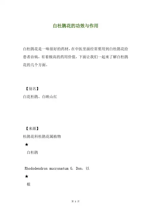 白杜鹃花的功效与作用