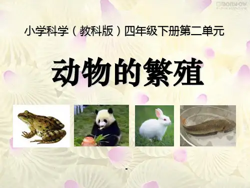 1动物的繁殖