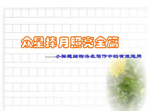 作文指导_小标题