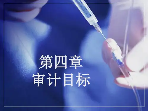 审计目标培训讲义.pptx