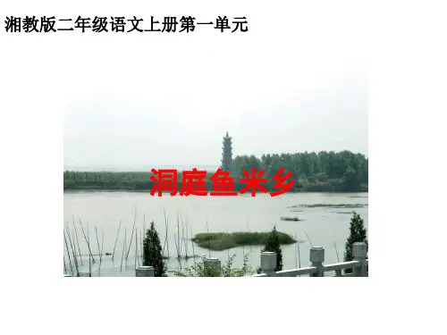 二年级语文洞庭鱼米乡