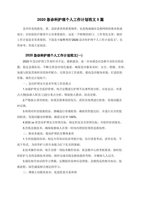 2020急诊科护理个人工作计划范文5篇