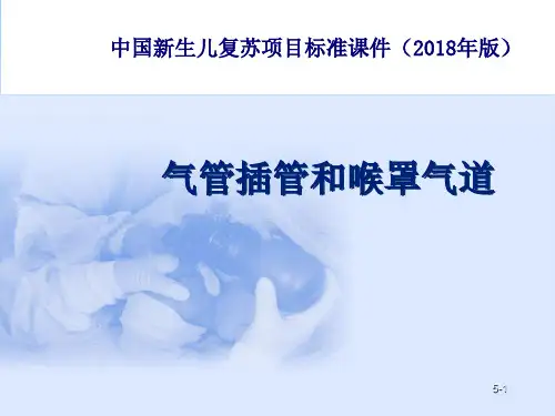 气管插管和喉罩气道医学PPT课件