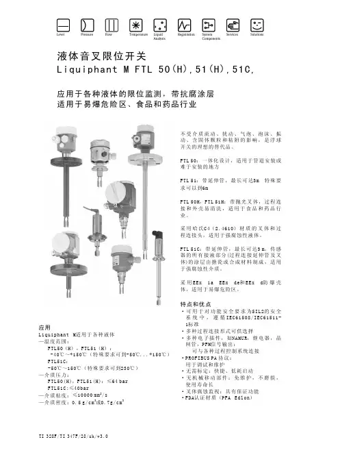 音叉液位计说明