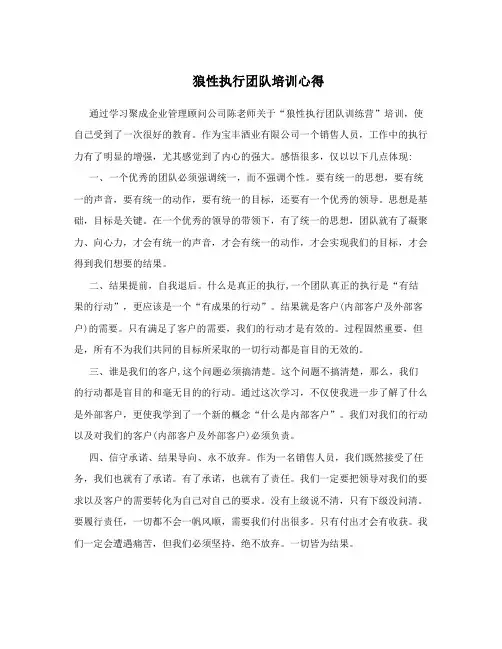 狼性执行团队培训心得