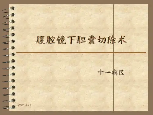 腹腔镜胆囊切除术 1 ppt课件