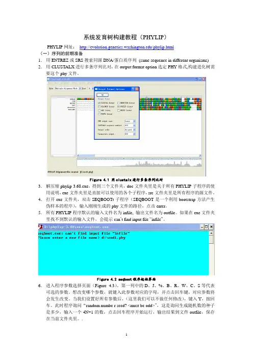 系统发育树构建教程(PHYLIP)