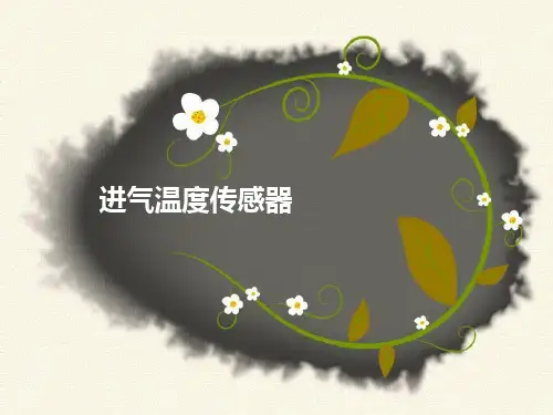 进气温度传感器 (2)