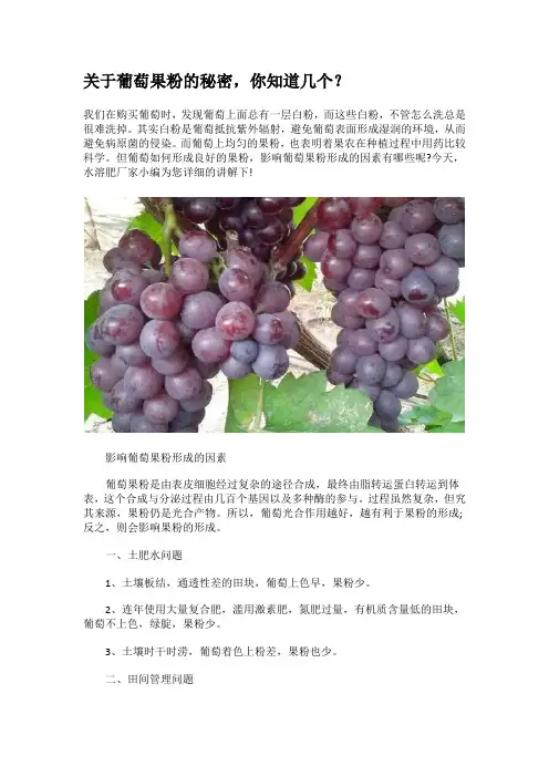 关于葡萄果粉的相关知识