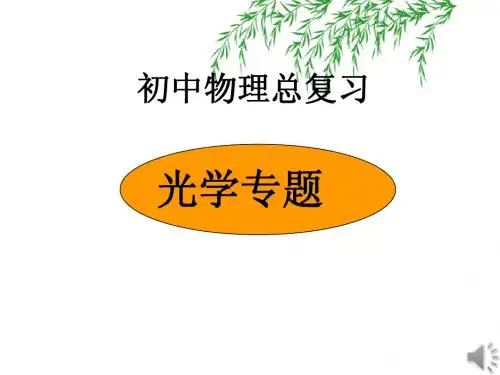 中考总复习光学专题