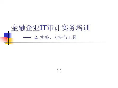 CISAIT审计实务培训2审计实务精品PPT课件