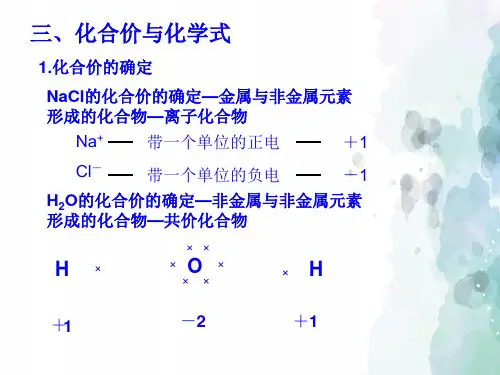 鲁教版化学-九年级上册-第二节 物质组成的表示 第三课时 化合价与化学式PPT