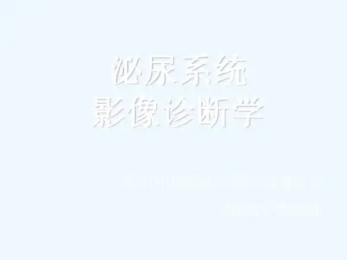 泌尿系统疾病影像表现
