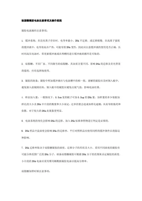 琼脂糖凝胶电泳注意事项及操作流程