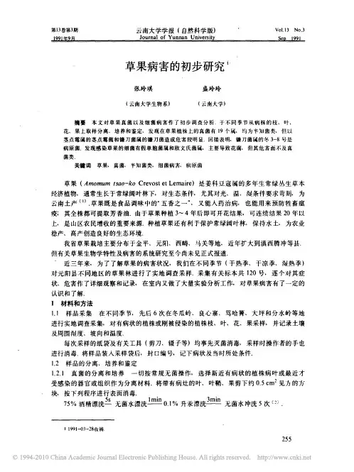 草果病害的初步研究