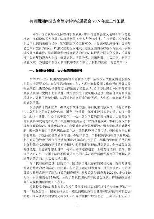 2009年度共青团工作汇报