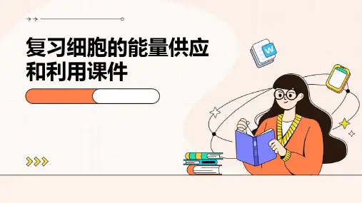 复习细胞的能量供应和利用课件