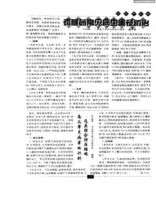 南瓜常见病害的识别及其综合防治措施