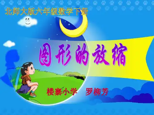 北师版小学六年级数学下册《图形的放缩》课件