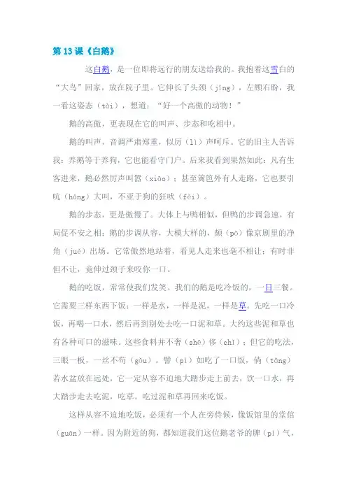 第13课《白鹅》人教版四年级上册语文课文